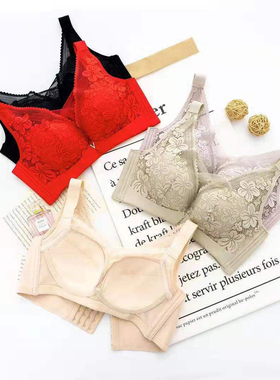 黛君兰文胸无钢圈薄款全罩杯蕾丝定型聚拢调整型C杯胸罩内衣8809