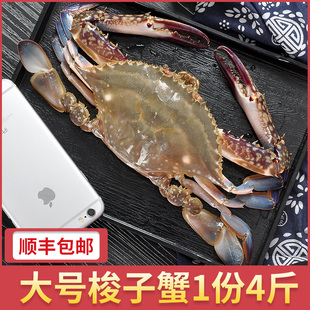 海螃蟹海鲜大礼包 4斤装 梭子蟹鲜活公蟹急冻 大白蟹飞蟹非大闸蟹