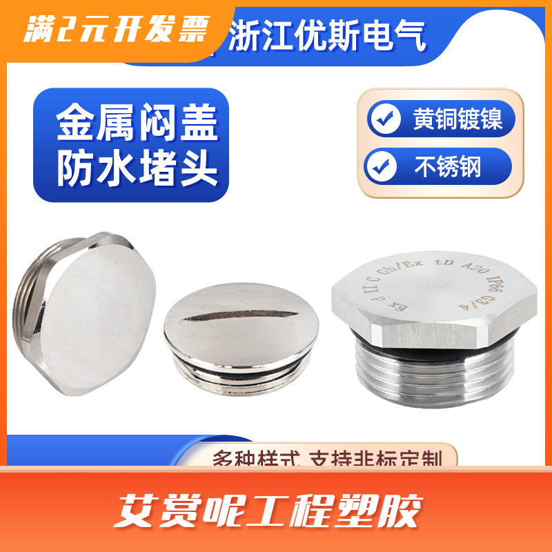 黄铜镀镍防水堵头闷盖不锈钢防爆304外六角堵塞头一字丝堵M20 PG9