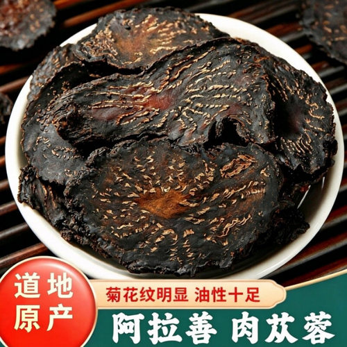 正宗阿拉善肉苁蓉特优级野生油性软质肉苁蓉男性泡酒切片泡水茶
