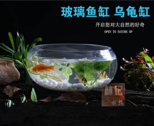 透明办公桌水培圆形迷你小鱼缸