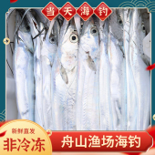 新鲜舟山海钓带鱼东海鲜活特大非冷冻刀小眼睛油带鱼整条3斤4条