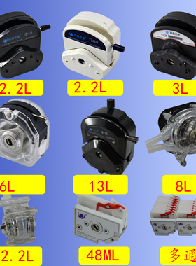 蠕动泵实验小流量工业大流量灌装机YZ1515 YZ15 KZ25 Y35 DR泵头