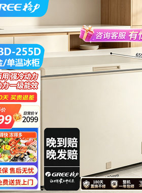 格力晶弘BC/BD-255D时代金冰柜家商两用强冷动力单温柜255L大容量