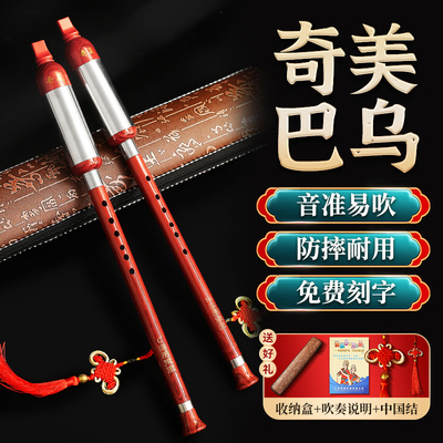 奇美巴乌小学生儿童专用演奏乐器