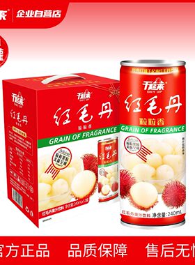 干起来红毛丹果汁饮料走亲访友节日送礼串门春节礼盒240ml*12罐