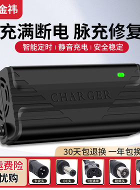 24伏电动车铅酸电瓶车充电器24V12AH20AH玩具车轮椅小海豚车通用
