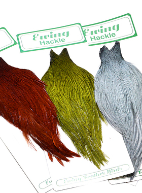 飞蝇钩 进口整张公鸡 rooster hackle 蓑羽蓑毛 饰带干式湿蝇羽毛