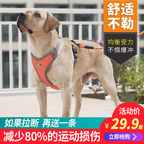 背心式狗牵引绳中大型犬拉布拉多