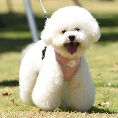 Корейская версия скользкой собачьей тяги веревки маленькая собака баро Тедди щенки милый ходящий собака веревка для питомца грудь грудь