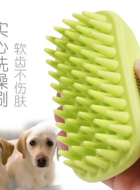 洗澡刷泰迪金毛萨摩耶猫咪狗狗