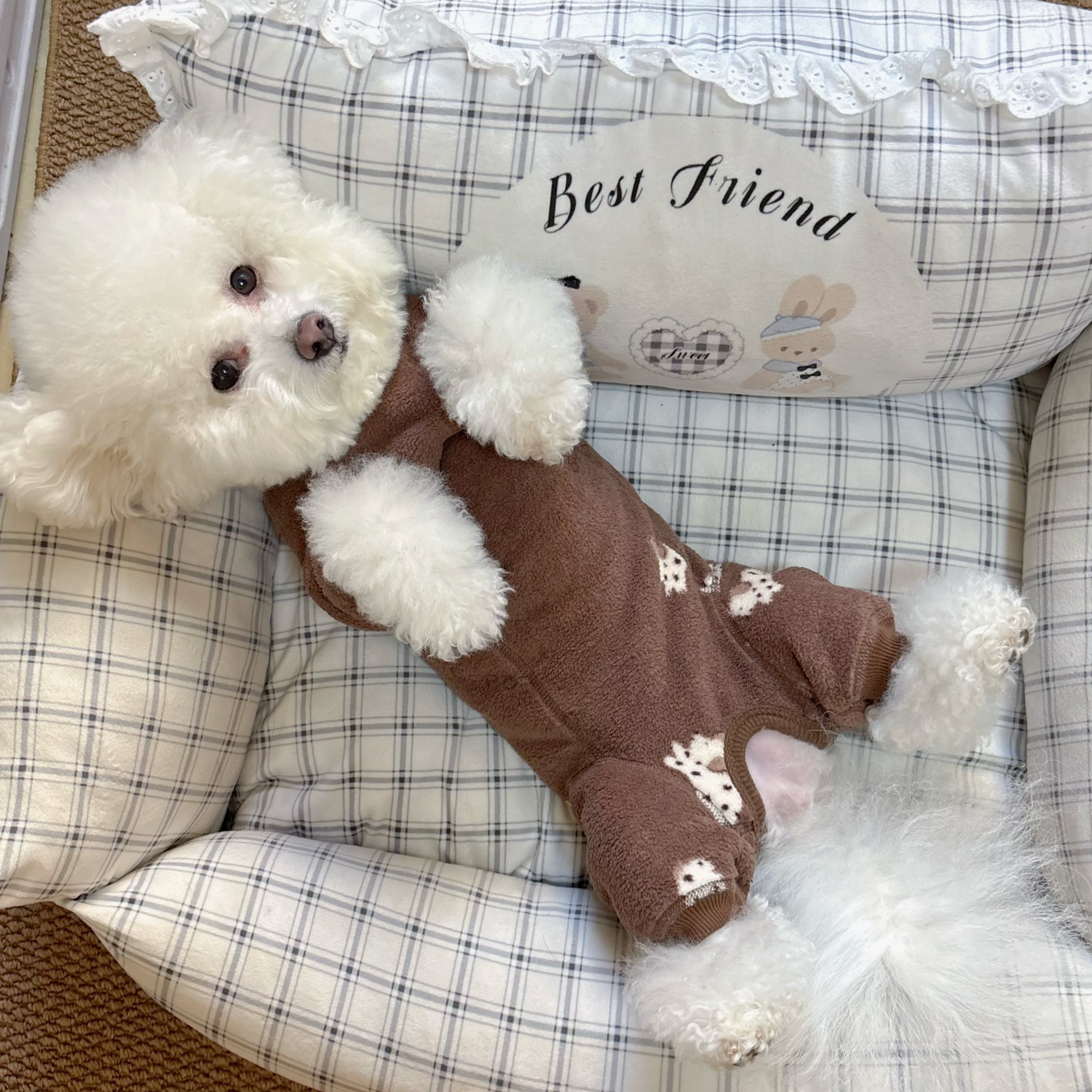 [母狗专用]四脚包肚衣狗狗衣服冬装小型犬比熊泰迪冬季保暖护肚衣