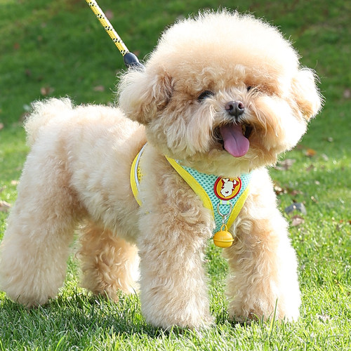 夏季专用牵引绳小型犬泰迪胸背带