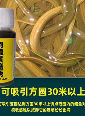 黄鳝诱食剂【千米一窝成群来】诱黄鳝小药黄鳝专用诱饵信息素饵料