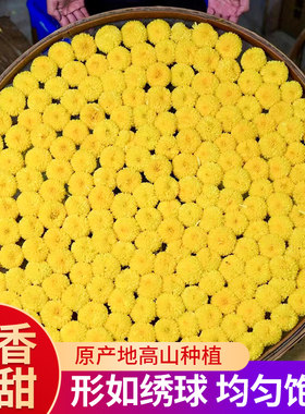 新疆包邮菊花茶婺源徽州皇菊高山黄菊一朵一杯去火下火黄山菊花贡