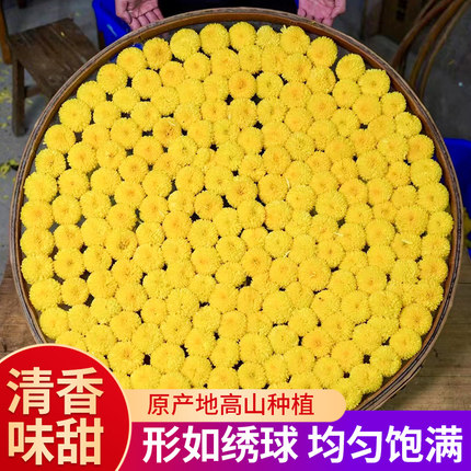菊花茶婺源徽州皇菊高山黄菊一朵一杯去火下火黄山菊花花茶