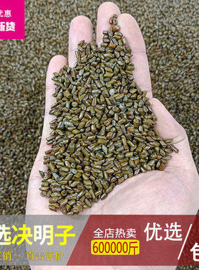 野生决明子除尘抛光10斤包邮