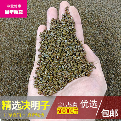 野生决明子除尘抛光10斤包邮