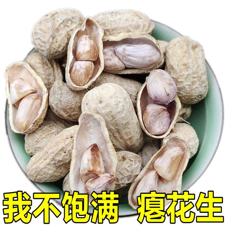 水煮瘪花生不饱满的嫩花生加盐煮