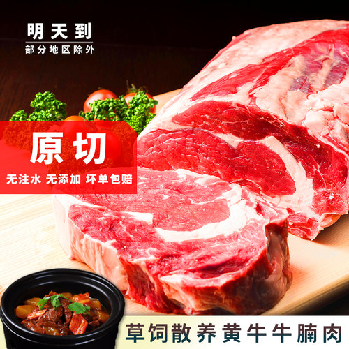新鲜5斤冷冻牛肉块牛腩