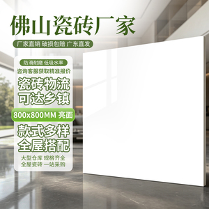 瓷砖800x800地砖广东瓷板砖全瓷