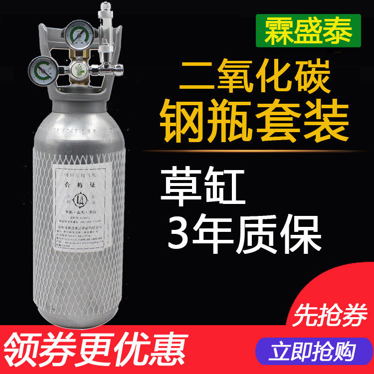 霖盛泰水草表二氧化碳co2建设4L钢瓶套装止逆电磁单表双表包邮
