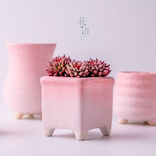 花语 渐变磨砂多肉花盆 简约多肉盆栽绿植仙人掌室内粗陶透气花盆 - 封面
