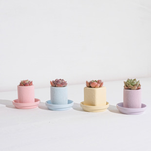 花语 ins小清新多肉花盆多肉植物花盆ins素烧拇指盆个性创意花盆