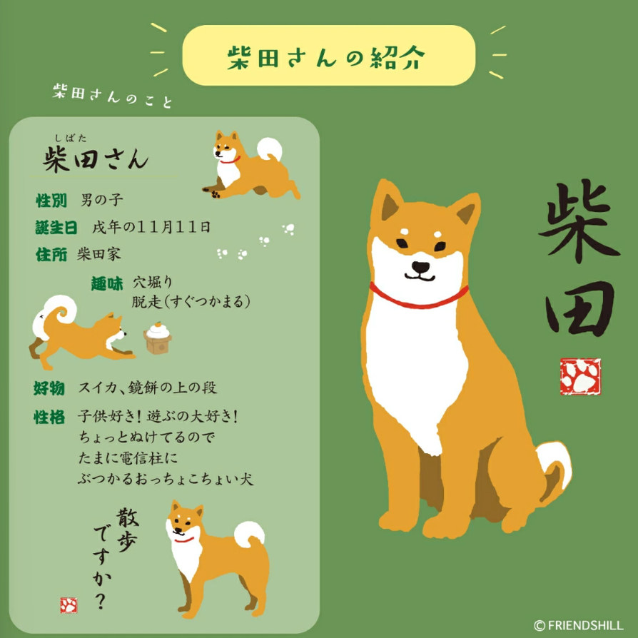 现货！日本柴田先生 可爱柴犬壁挂2026挂历 13页