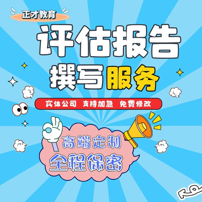 代写编写价值评估报告岗位评估体系方案企业投资收益风险分析管理