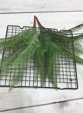 仿真波斯顿蕨草塑料摆放花艺绿植
