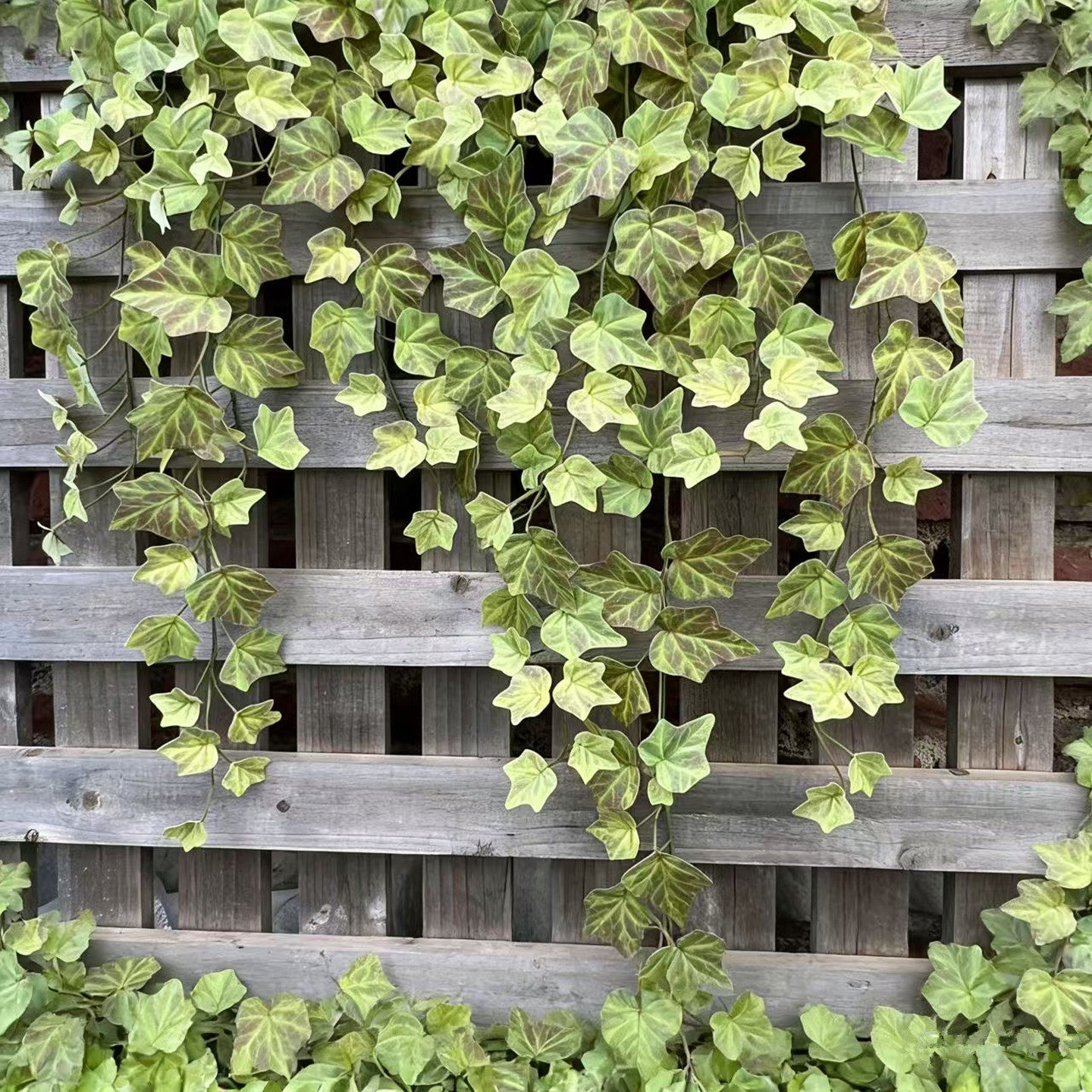 仿真常春藤绿植藤蔓叶子装饰墙面爬藤植物假叶子壁挂藤条黄绿色