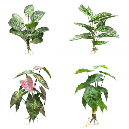 高仿真竹芋叶 彩色芋带根绿植热带雨林装饰 手感过胶把束叶子新款