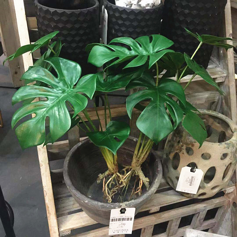 高档仿真绿植小盆栽龟背叶