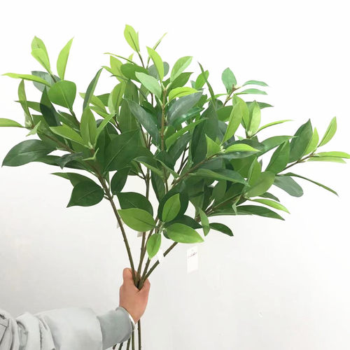 树叶新款灰莉手感胶片冬青单枝