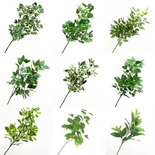 单支仿真绿植叶子白边三角榕枣叶木槿叶茶叶树叶绢布造景装饰新款