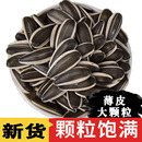 生瓜子葵花籽新货薄皮363特大颗粒内蒙古5斤散装 新鲜现炒原味瓜子