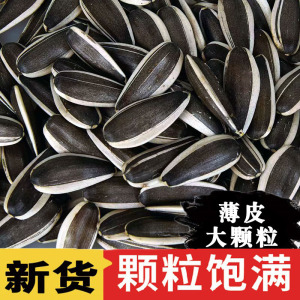 生瓜子葵花籽新货薄皮瓜子特大颗粒散装新鲜现炒原味瓜子内蒙古