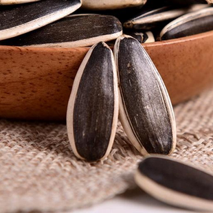 2025生瓜子葵花籽新货363葵瓜子新货内蒙五原现炒熟原味瓜子五斤