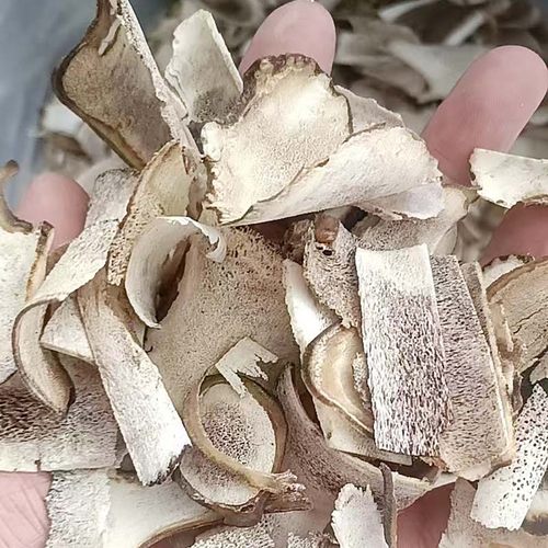 东北长白山吉林鹿茸残片250克鹿茸血片