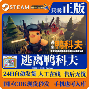 国区cdkKEY Duckov激活码 逃离鸭科夫 from 入库 Escape Steam正版
