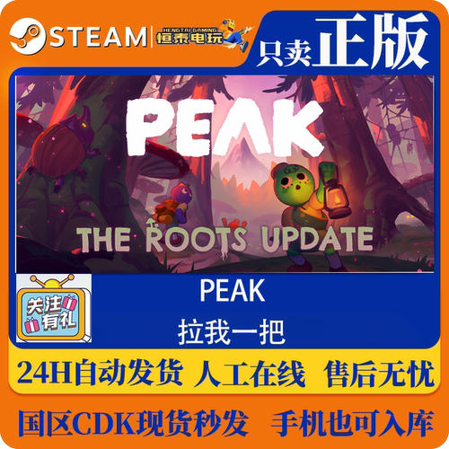 PC游戏/Steam正版国区CDKEY/peak 拉我一把/激活码cdkey入库