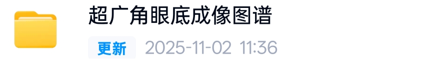 超广角眼底成像图谱PDF欧堡眼底照相pdf学习资料文档