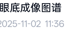 超广角眼底成像图谱PDF欧堡眼底照相pdf学习资料文档