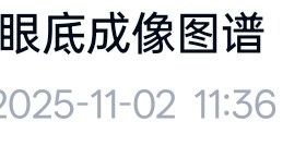 超广角眼底成像图谱PDF欧堡眼底照相pdf学习资料文档