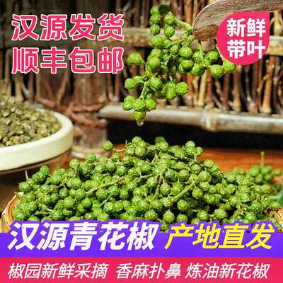新鲜树上现摘藤椒四川雅安汉源