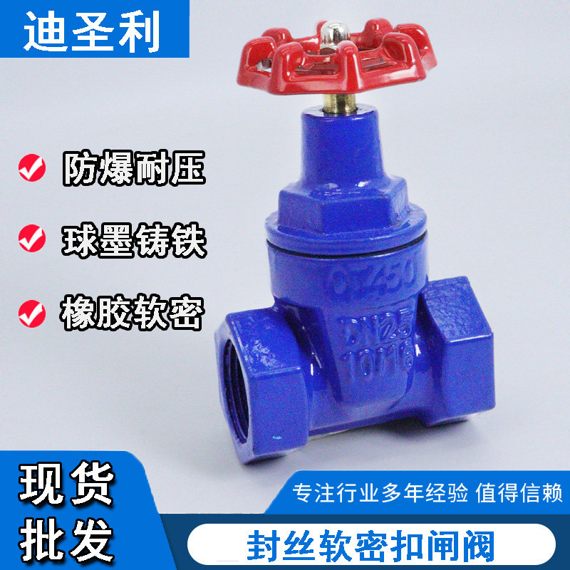 铸铁软密封闸阀Z15X-16Q图片