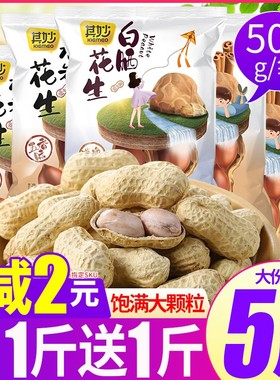 龙岩花生蒜香味五香水煮花生米带壳白晒味干炒货好吃零食散装批发