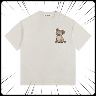 泛式2025水洗做旧重磅鬣狗短袖T恤男女同款圆领落肩宽松