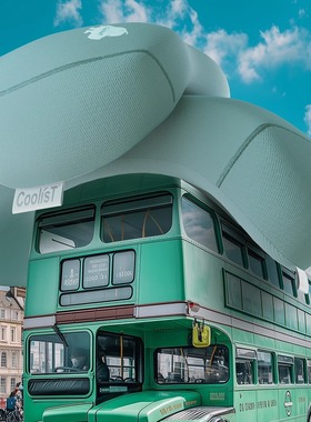 CoolisT顾乐仕天然生物基 豆趣枕深睡眠记忆绵助眠护颈成人枕头